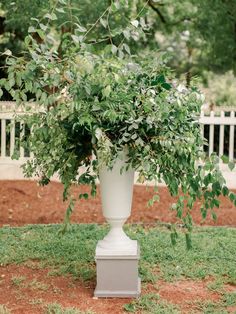 a tall white vase filled with lots of greenery sitting on top of a lush green field