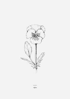 a black and white drawing of a flower