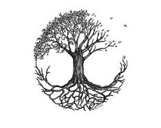 a drawing of a tree with many branches