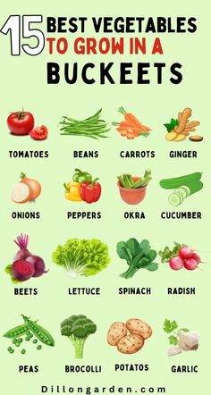 the top 15 best vegetables to grow in a buckets info sheet with text overlay