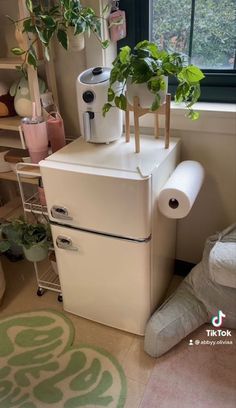 a white refrigerator freezer sitting in a kitchen next to a window with potted plants on top