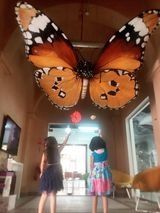 two girls are looking at butterflies hanging from the ceiling