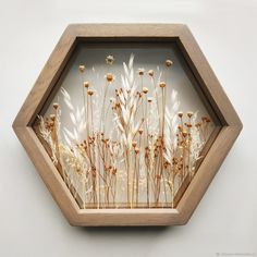 an image of dried flowers in a wooden hexagonal frame on the wall with white background