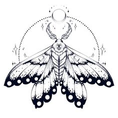 a black and white drawing of a moth with stars on it's wings, surrounded by circles