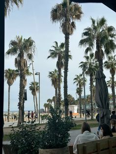 people sitting on benches in front of palm trees and the beach behind them, looking out at the ocean