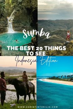 the best things to see and do in sunba, indonesia's east coast