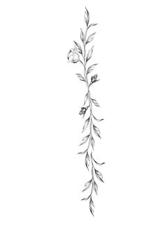 Foliage Spine Tattoo, Vine Of Flowers Tattoo Spine, Branch Spine Tattoo, Leafy Spine Tattoo, Ivy Spine Tattoo, Spinal Tattoo, Minimal Tattoo Ideas, Minimal Tattoo Designs