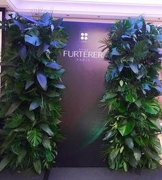 two tall green plants sitting next to each other in front of a sign that says furter