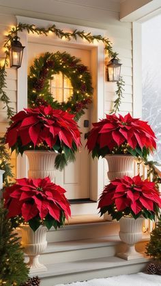 three poinsettias in urns on the front porch