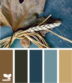 the color palette is blue, brown and white with an autumn leaf on top of it