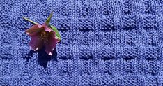 a pink flower sitting on top of a blue knitted blanket