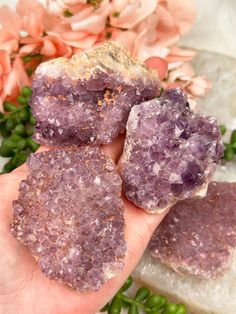 Cute little Madagascar amethyst clusters with a mix of purple hues, some with some redish tones from hematite and more! Some will be a bit chunkier, but most of these are going to be a smaller point formation. This is my first time finding these clusters from the Madagascar locality! Typically you see mostly polished amethyst from there. Available in 4 different sizes. Take a look at the photo with the quarter for a size reference. They are shown left to right smallest to largest. You will recei Lavender Gemstone Crystals For Spiritual Use, Spiritual Lavender Crystals, Spiritual Lavender Gemstone Crystals, Healing Purple Geodes With Natural Stones, Lavender Healing Crystals Raw Stone, Mystical Purple Crystals With Natural Stones, Purple Raw Stone Crystals For Gift, Mystical Purple Gemstone Crystals, Lavender Amethyst Geodes For Spiritual Use