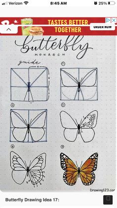 Different Types Of Butterflies Drawing, Butterfly Drawing Steps, Butterfly Sketch Step By Step, Butterfly Drawing Watercolors, How To Draw A Butterfly Step By Step, How To Draw A Sunflower, How To Draw Butterflies, Butterfly Drawing Step By Step, How To Draw A Butterfly