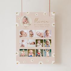 a baby's first year photo book hanging on a wall with flowers and daisies