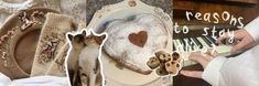 there is a collage with pictures of cats and other things in the image, including bread