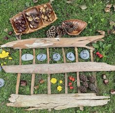 a wooden board game with numbers and pine cones on the grass next to it is an assortment of nuts