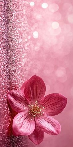 a pink flower is sitting in the middle of glitter