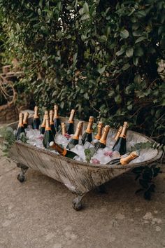 an old wheelbarrow filled with bottles of champagne