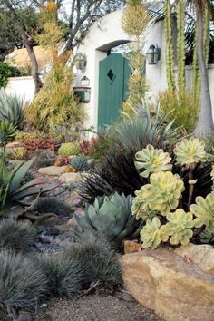 an assortment of succulents and plants in front of a white building with green doors