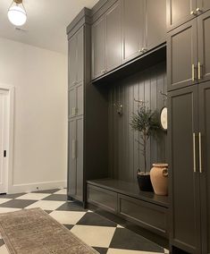 a room with cabinets and a potted plant on the shelf in front of it