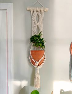 a potted plant is hanging on the wall next to a macrame board