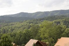 the mountains are covered with trees and houses