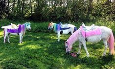 three white horses with pink and purple manes grazing on grass in a wooded area