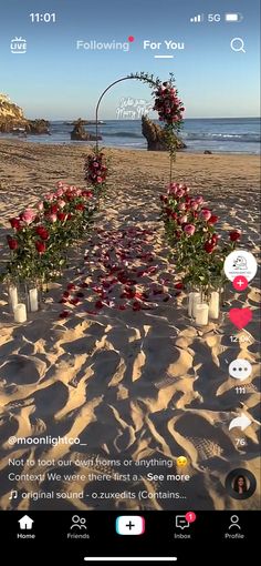 an image of flowers in vases on the beach