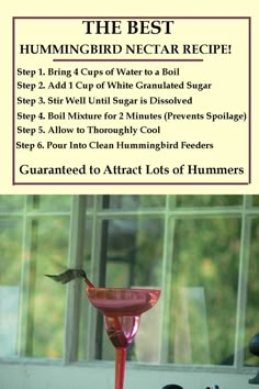 the hummingbird nectar recipe is on display