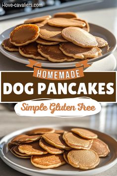 homemade dog pancake recipe on a plate with text overlay that reads homemade dog pancakes simple gluten free