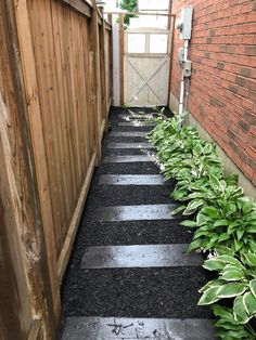 an alley way with black stepping stones and green plants