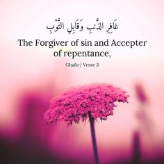 the flower of sin and accpeter of repentance is written in arabic