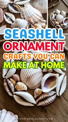 seashell ornament crafts you can make at home