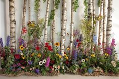 an assortment of wildflowers and birch trees in front of a white wall