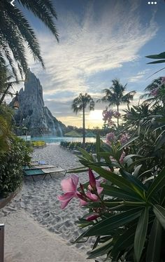 the sun is setting behind some palm trees and chairs on the beach with pink flowers