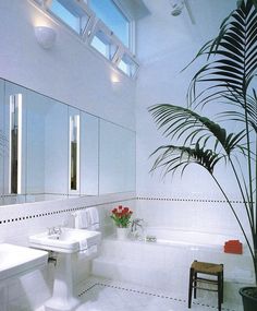 a white bathroom with two sinks and a large plant in the corner on the wall