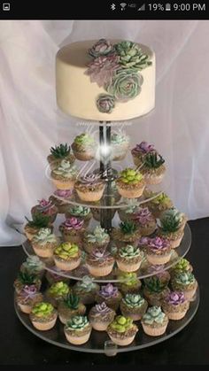 a tiered cake with cupcakes and succulents on it