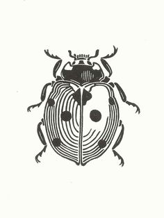 a black and white drawing of a beetle