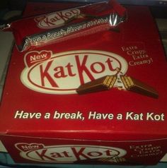 a red box with some kind of chocolate bar in it's wrapper and the caption says, have a break, have a katt