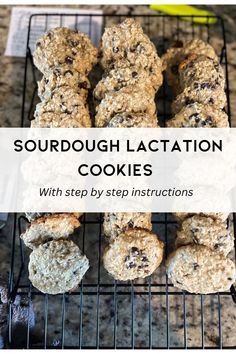 Brewers Yeast Cookies, Brewers Yeast Recipes Healthy, Sourdough Lactation Cookies, Sourdough Baby Snacks, Brewers Yeast Recipes Milk Supply, Oatmeal Lactation Cookies, Feeding Sourdough, Sourdough Oatmeal, Flax Seed Meal