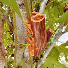 a wooden object is hanging from a tree