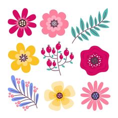 colorful flowers and leaves on a white background