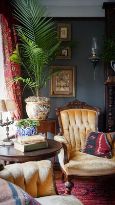 a living room filled with furniture and a potted plant on top of a table