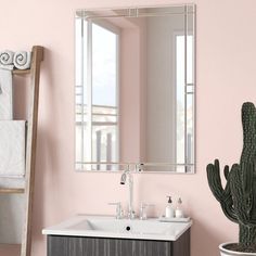 a bathroom with pink walls and a cactus next to the sink in front of it