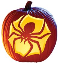 a lighted pumpkin with a spider on it