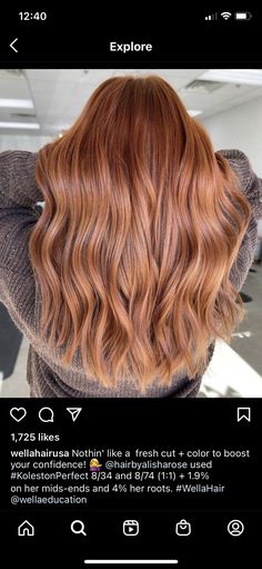 Light Auburn Hair, Hair Toner, Ginger Hair Color, Auburn Hair, Copper Hair, Tone Hair, Light Hair