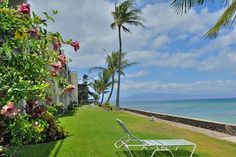 an empty lawn next to the ocean with palm trees and pink flowers in front of it