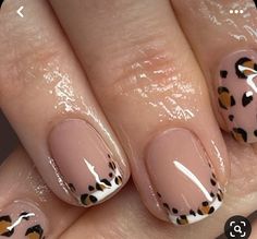 Classy Animal Print Nails, French Nails With Leopard Print, Biab Nails Leopard, Short Leapord Nails, Leopard Nail Tips, Animal Print Tip Nails, Animal Print Short Nails, Leopard Print French Nails, Leopard Print French Tip Nails