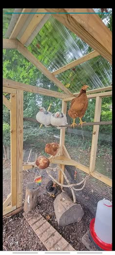 several chickens in a chicken coop on the ground