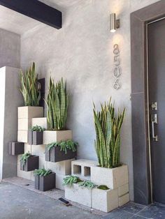 some plants are sitting on cinder blocks in front of a door